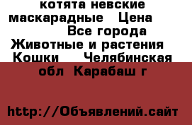 котята невские маскарадные › Цена ­ 18 000 - Все города Животные и растения » Кошки   . Челябинская обл.,Карабаш г.